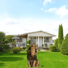 (2D Flat) 1pc 30cm/11.81in Realistic Animal Style Garden Decor Stakes, Lion - Garden Lawn Stake Decor, Garden, Yard, Farm, Outdoor Decor, Housewarming Gift, Home Decor, Bonsai Decor