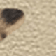 متعدد الألوان