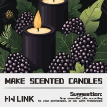 HWLINK Blackberry Fragrance Oil For Women 10ml Premium Fragrance Oil, Suitable For Aromatherapy Diffuser, Candle Making, Gift, Fruit Scent, Air Freshener - Blackberry - View 5