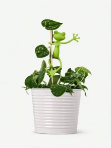 Frog Plant Stand With Movable Limbs, Suitable For Potted Plants, Succulents, Small Green Plants, Frog Plant Stand, Suitable For Living Room, Balcony, Study, Office Decoration Mother's Day/Birthday Gift - Green - View 8