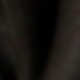 Negro (parte posterior)