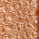 Coral Orange