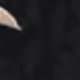 彩色