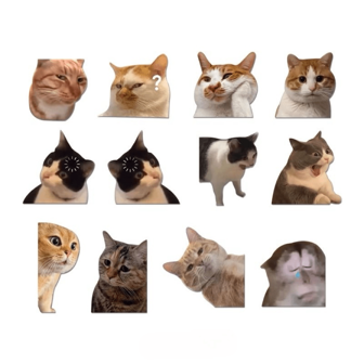 Cute Funny MEME Surprised Cat Expression Exterior Car Sticker, Pet Car Decal, Waterproof Laptop Sticker