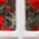 FDNA0021