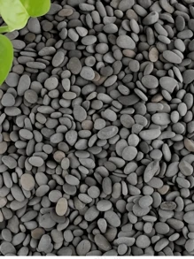 20PCS/50pcs/100pc Rocks For Painting In Bulk, 1-3cm Medium To Large Painting Rocks, Flat And Smooth Natural River Rocks, Cheap Painting Rocks Gifts For Arts, Crafts, Adult Family Time, Kids Gifts, Parent-Child Activities