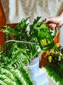 1L Edelstahl Kanne mit langem Ausguss, transparenter Haushaltswassertopf, Gartenbewässerungswerkzeug mit großer Kapazität