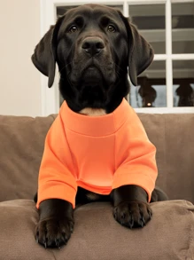 Sanrio 1pc Minimalist Kitty Cat Print Pet Sweatshirt, Polyester Material Suitable For Small Cats & Dogs, Breathable For Indoor And Outdoor Casual Wear, Sun-Protection