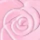 Rosa chiclete