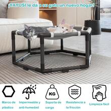 Pet Chasing Toys - Black - View 6