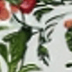 Verde Oliva