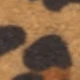 نمر