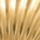 Amarillo Oro