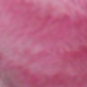 Watermelon Pink
