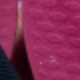 Roxo