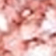 桃