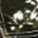Stamp 36