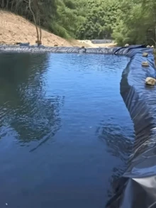 1pc PVC Heavy Duty Waterproof Pool Liner 2m X 2m, 2m X 3m, Black Pond Liner, Heavy Duty Sealing Membrane, Pond Membrane, Swimming Pool Membrane, Garden Pond Tarpaulin, Multipurpose Black Plastic Film For Fish Ponds, Fountains, Water Gardens And Waterfalls - Black - View 4