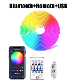 RGBIC-multicolor