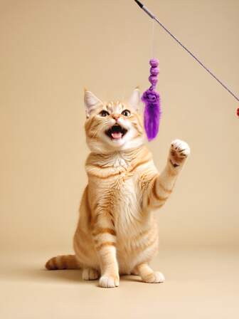 1 pieza Juguete para gato, Juguete de varilla de cebo, Nuevo juguete elástico para gato