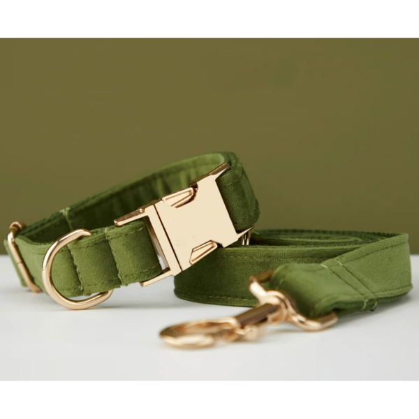 1 set de 2 correas y collares para mascotas de aleación de zinc, suaves y cómodos, para perros pequeños, medianos y grandes. Diseño de aleación de zinc resistente y duradero, fácil de abrochar y desabrochar. Collares para perros de alta gama, para boda, Día de San Valentín (puede ser ligeramente diferente debido a diferentes telas, lotes y colores, enviado al azar)
