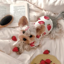 1pc Pet Strawberry Print T-Shirt, Lightweight Breathable Casual Home Wear For Small/Medium Dogs & Cats, Spring/Summer/Autumn - Red and White - View 3