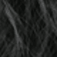1B