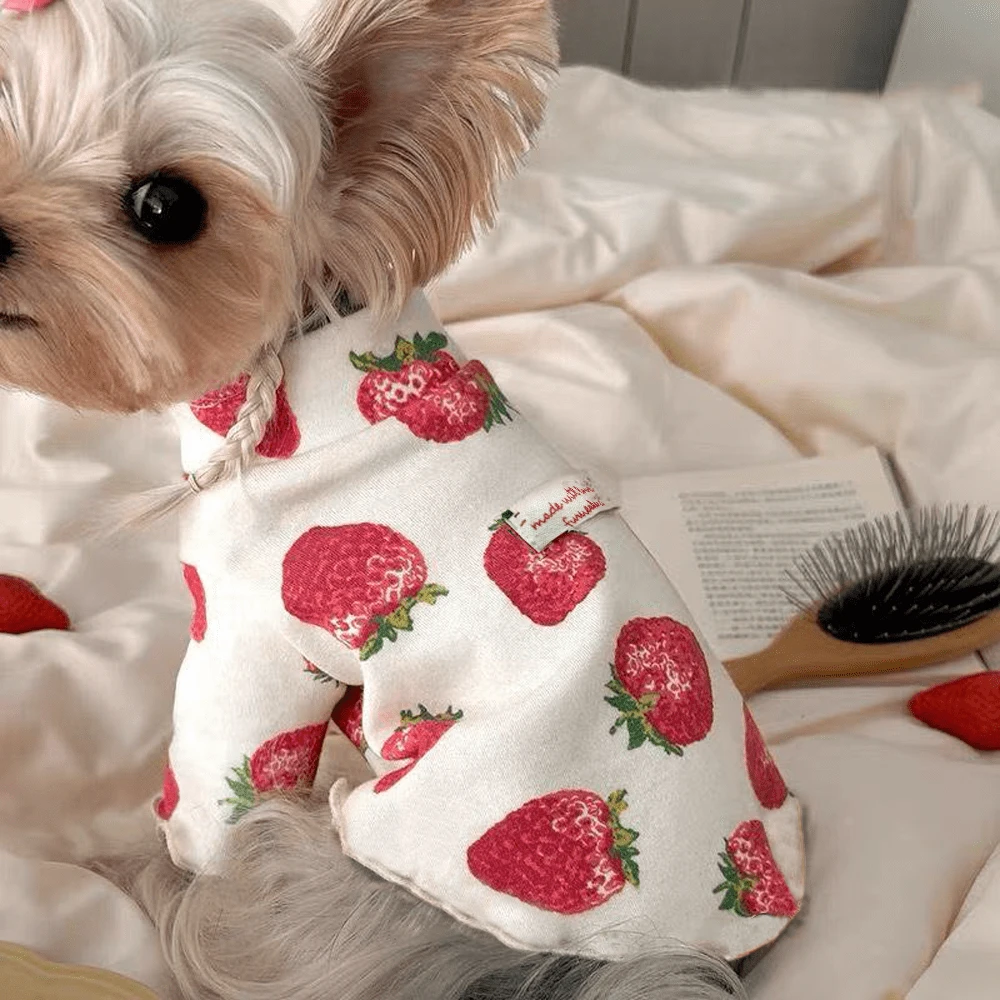 1pc Pet Strawberry Print T-Shirt, Lightweight Breathable Casual Home Wear For Small/Medium Dogs & Cats, Spring/Summer/Autumn - Red and White - View 1