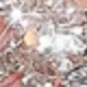 Cadena de garra de mariposa