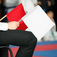 Local Delivery- 2pcs Volleyball Flags Line Judge Lightweight Red Referee Signal Flags For Volleyball Soccer Track And Field - Yellow 4pcs - View 2