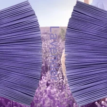22.0cm Lavender Fragrance Incense Sticks, Suitable For Soothing The Mind, Air Purification, Sleep Aid, Home Decor, Hotel & Spa Ambiance, Perfect For Holiday Gifts