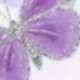 Lilac Purple