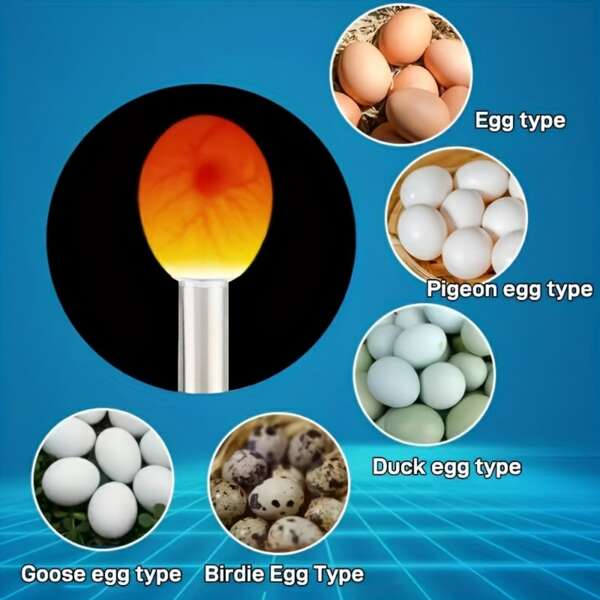 Egg Incubator Candler, LED Mini Flashlight Hatch Tool, Stainless Steel LED Egg Tester - Handheld Fertility Checker With Ergonomic Handle And Clear Visual Indicators For Optimal Egg Development Monitoring, Compact Portable Design (Batteries Not Included)