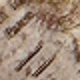 Nhiều màu