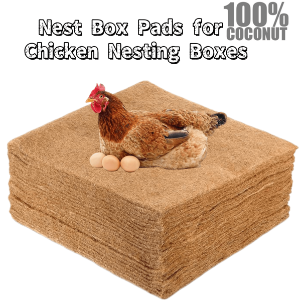 Nest Box Pads For Chicken Nesting Boxes - 12'' X 12'' Chickens Nesting Pads Set Nest Box Bedding Washable Nesting Pads For Chicken Cage, Artificial Grass Rug Carpet Synthetic Turf Mat, Coconut Silk Nest, Coconut Palm Mat THE BEST PLACE TO LAY