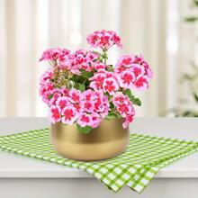 1pc Golden Metal Vase With Drainage Hole, Golden Plant Pot, Modern Decorative Planter For Indoor/Outdoor Decor, Perfect For Wedding Decor, Room Decor, Home Decor And Garden Decorations