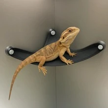 New Lizard Hammock, Reptile Mesh Breathable Hanging Bed, Reptile Cooling Hammock For Summer, Small Pet Hammock