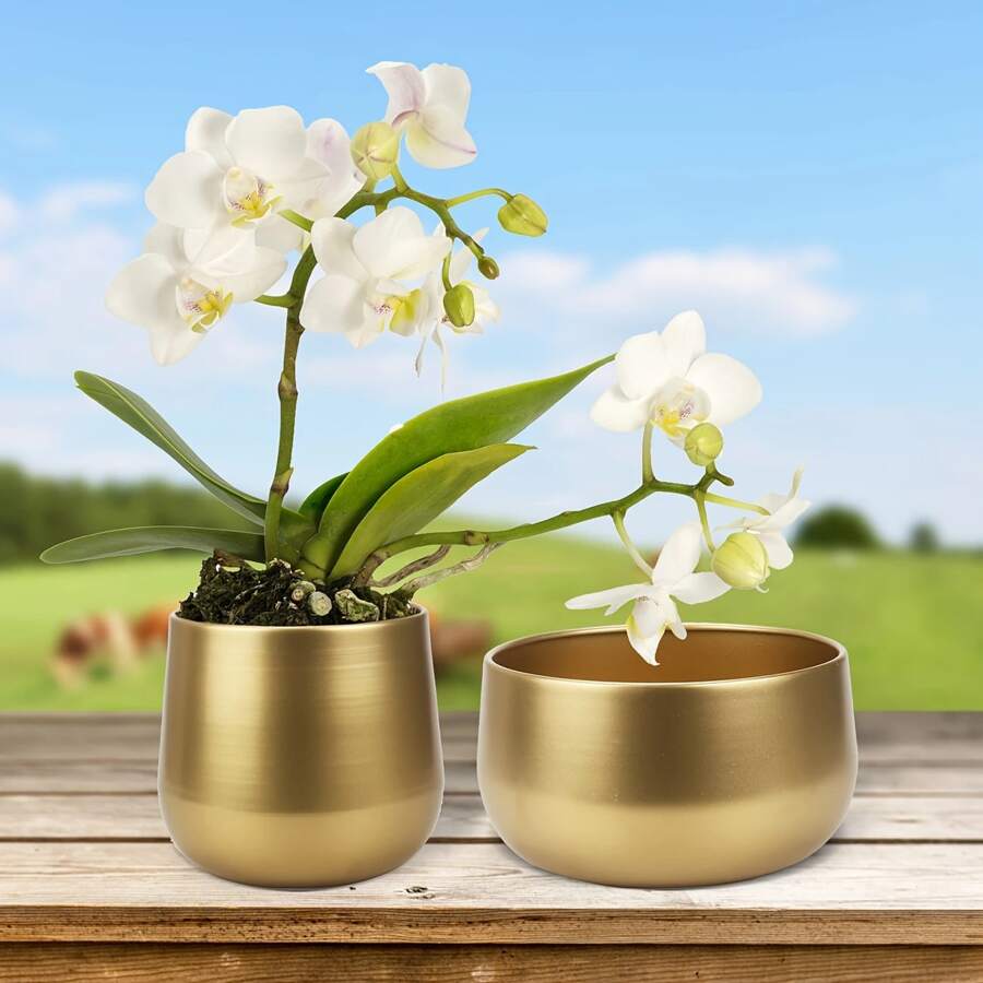 1pc Golden Metal Vase With Drainage Hole, Golden Plant Pot, Modern Decorative Planter For Indoor/Outdoor Decor, Perfect For Wedding Decor, Room Decor, Home Decor And Garden Decorations