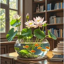 15 Pre-Grown Buds Mixed Colors Lotus Seeds In Pots - Ready To Plant, Suitable For Indoor And Outdoor Aquarium Gardens, Including Planting Guide, Easy To Grow, Requires Minimal Care Pre-Grown Seeds - 15個 - 查看 2