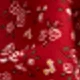 Red Cashew Nuts