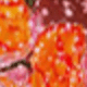 Trong sáng