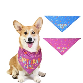 1pc "Birthday Girl/Boy" Dog Scarf, Single-Sided Printed, Washable, Soft Pet Scarf Suitable For Small & Medium Dogs & Cats, Pet Birthday Gift