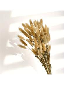 59/119 件干兔尾巴花，蒲苇天然兔尾草干花插花，适用于波西米亚风装饰、家居婚礼 DIY 工艺装饰、秋季装饰、秋季 - 棕色 - 查看 2