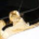 Black 1068
