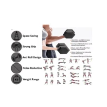 2-10 KG Hex Dumbbells Weight Set Pairs Hand Concrete Plastic GYM Fitness 36-12