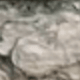 Multicolor