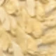 Caqui