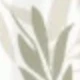 HOJA
