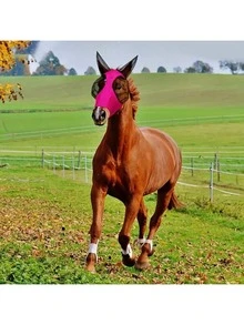 优质网状防蝇马面罩 - 彩色 - 查看 12