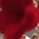 彩色